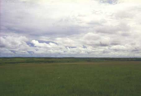 Llanos del Meta
