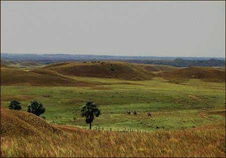 Serranía llaneros a caballo