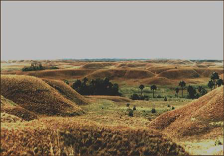 Serranía Omegua en verano
