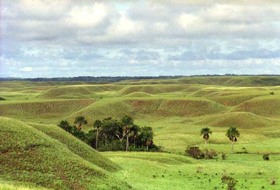 Serranía Omegua