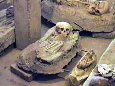 Restos de seres diminutos