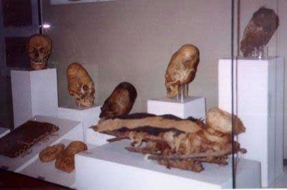 Vitrina de un museo del Perú