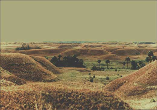 Serranía Omegua