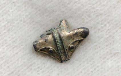 rana tairona
