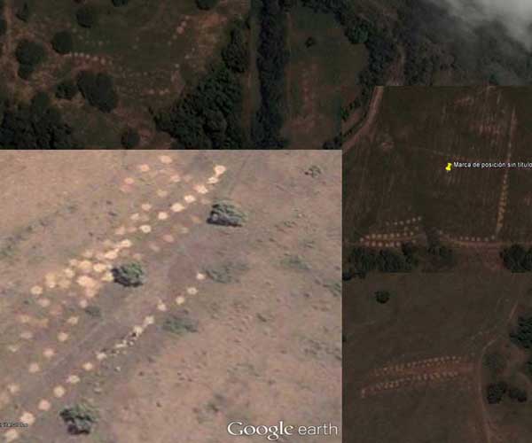 evidencia con google earth